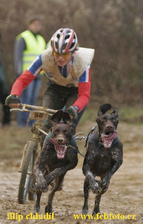 Bakonybel - 0544.JPG